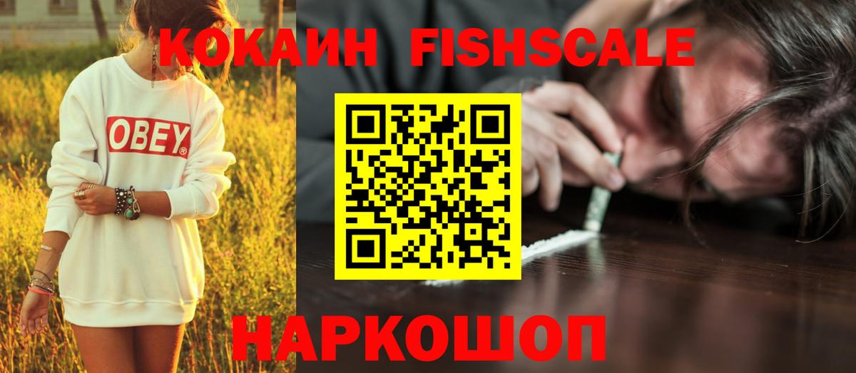 КОКАИН FishScale Камышин