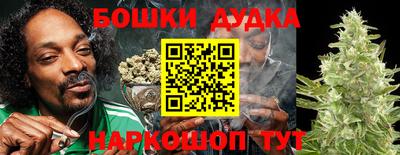 apvp Краснодар