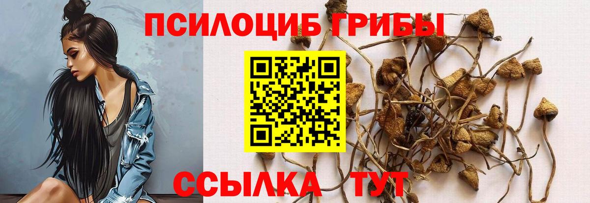 Галлюциногенные грибы мухоморы  Вход с VPN  Камышин  Галлюциногенные грибы прущие грибы 