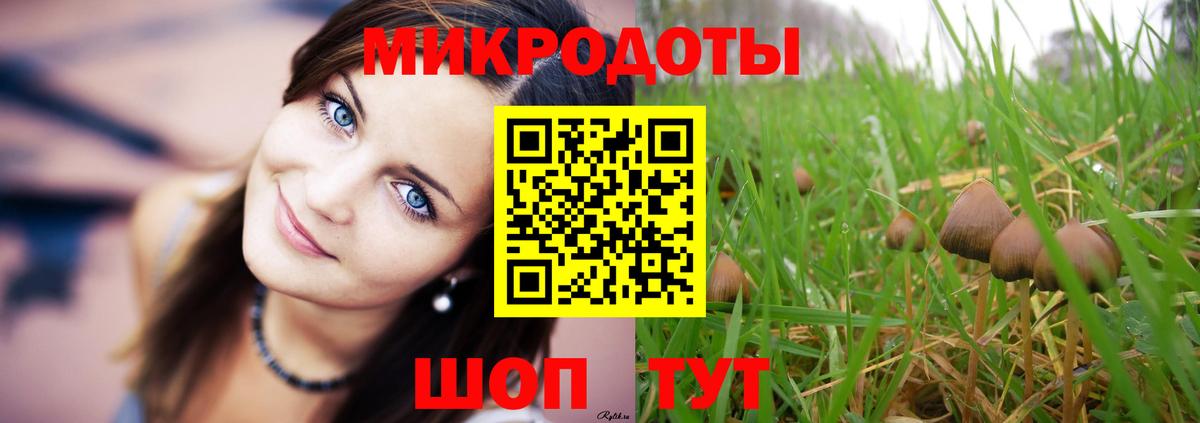Псилоцибиновые грибы Cubensis Камышин